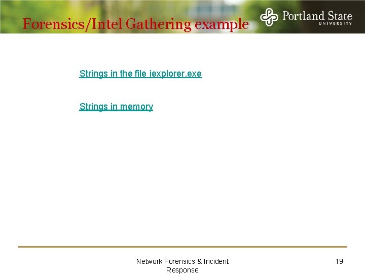 Forensics/Intel Gathering example Strings in the file iexplorer. exe Strings in memory Network Forensics