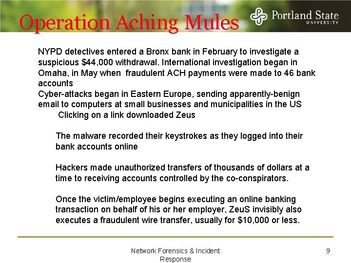 Operation Aching Mules NYPD detectives entered a Bronx bank in February to investigate a