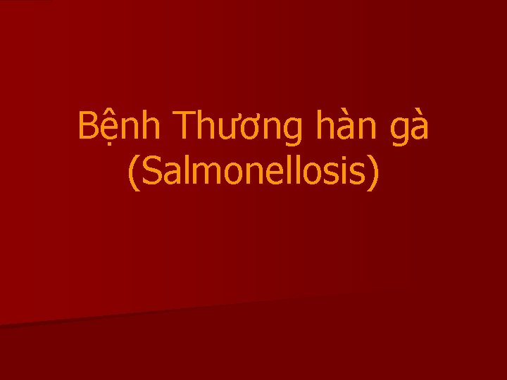 Bệnh Thương hàn gà (Salmonellosis) 