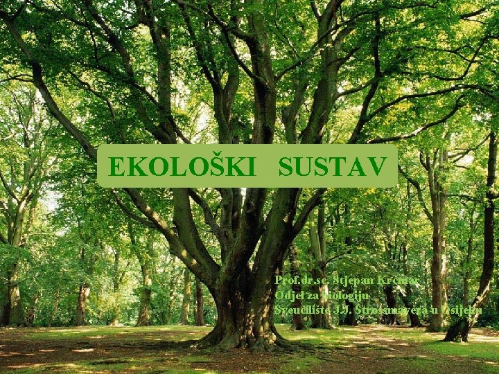 EKOLOŠKI SUSTAV Prof. dr. sc. Stjepan Krčmar Odjel za biologiju Sveučilište J. J. Strossmayera