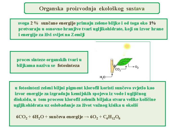 Organska proizvodnja ekološkog sustava svega 2 % sunčane energije primaju zelene biljke i od