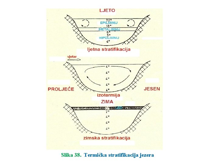 Slika 38. Termička stratifikacija jezera 