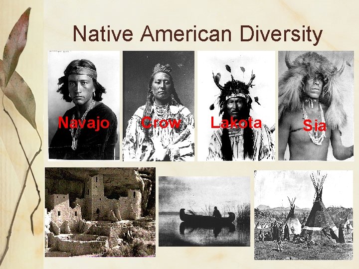 Native American Diversity Navajo Crow Lakota Sia 