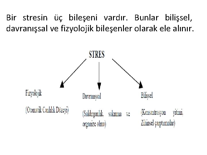 Bir stresin üç bileşeni vardır. Bunlar bilişsel, davranışsal ve fizyolojik bileşenler olarak ele alınır.