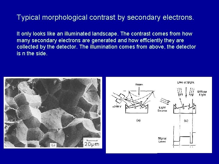 Typical morphological contrast by secondary electrons. It only looks like an illuminated landscape. The Typical morphological contrast by secondary electrons. It only looks like an illuminated landscape. The