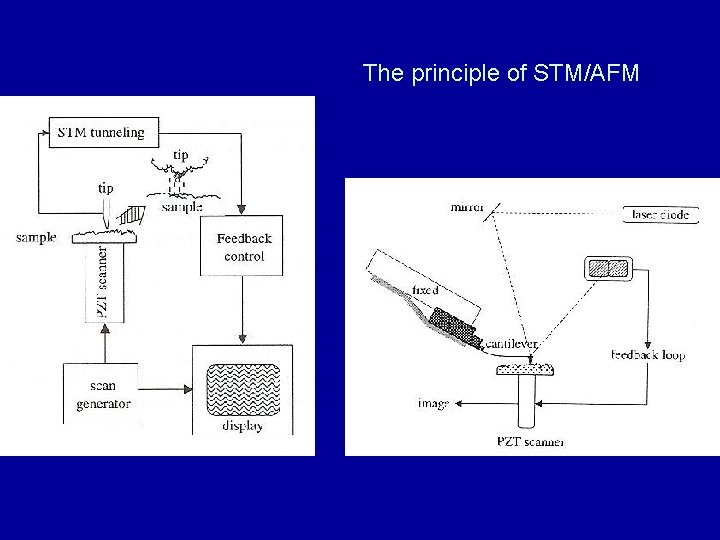 The principle of STM/AFM The principle of STM/AFM