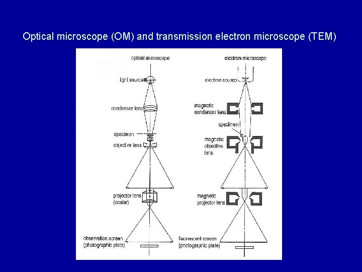 Optical microscope (OM) and transmission electron microscope (TEM) Optical microscope (OM) and transmission electron microscope (TEM)