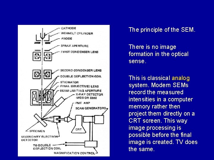 The principle of the SEM. There is no image formation in the optical sense. The principle of the SEM. There is no image formation in the optical sense.