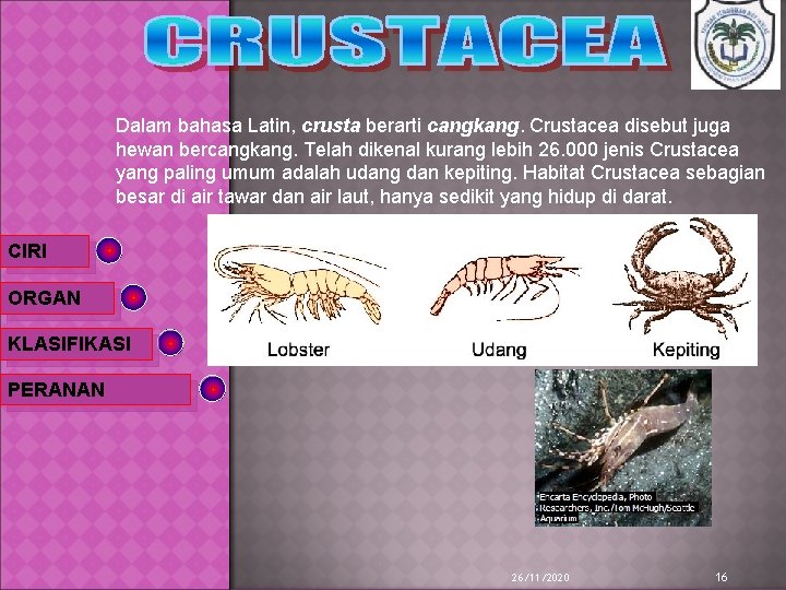 Dalam bahasa Latin, crusta berarti cangkang. Crustacea disebut juga hewan bercangkang. Telah dikenal kurang