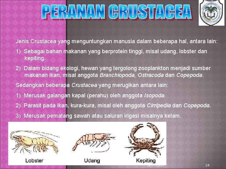 Jenis Crustacea yang menguntungkan manusia dalam beberapa hal, antara lain: 1) Sebagai bahan makanan