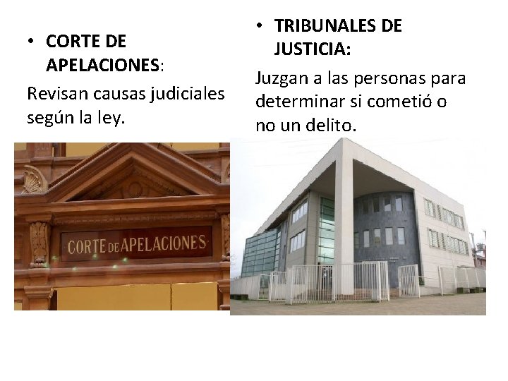  • CORTE DE APELACIONES: Revisan causas judiciales según la ley. • TRIBUNALES DE