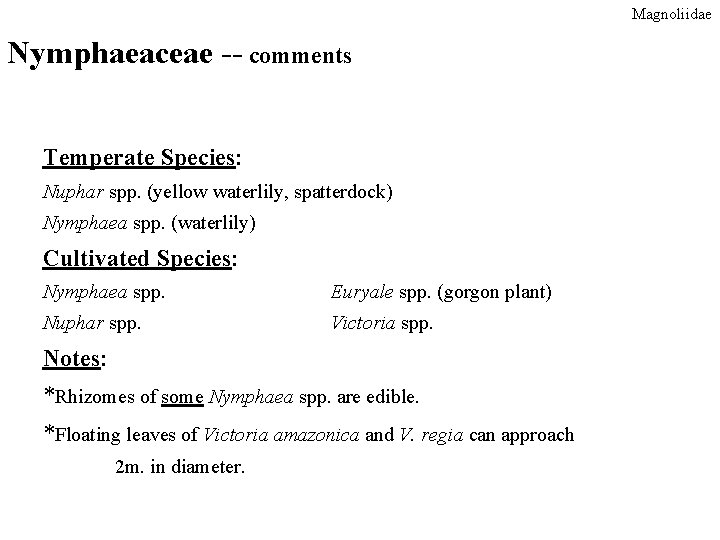Magnoliidae Nymphaeaceae -- comments Temperate Species: Nuphar spp. (yellow waterlily, spatterdock) Nymphaea spp. (waterlily) Magnoliidae Nymphaeaceae -- comments Temperate Species: Nuphar spp. (yellow waterlily, spatterdock) Nymphaea spp. (waterlily)