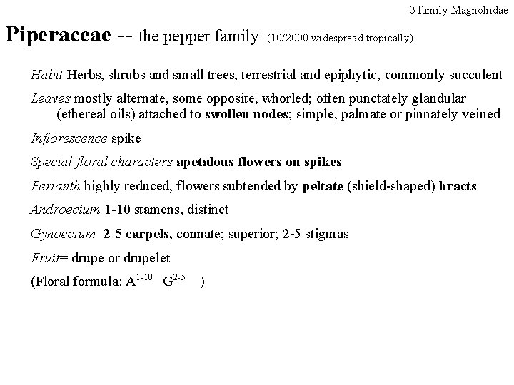 -family Magnoliidae Piperaceae -- the pepper family (10/2000 widespread tropically) Habit Herbs, shrubs -family Magnoliidae Piperaceae -- the pepper family (10/2000 widespread tropically) Habit Herbs, shrubs