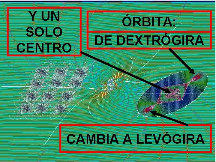 Y UN SOLO CENTRO ÓRBITA: DE DEXTRÓGIRA CAMBIA A LEVÓGIRA 