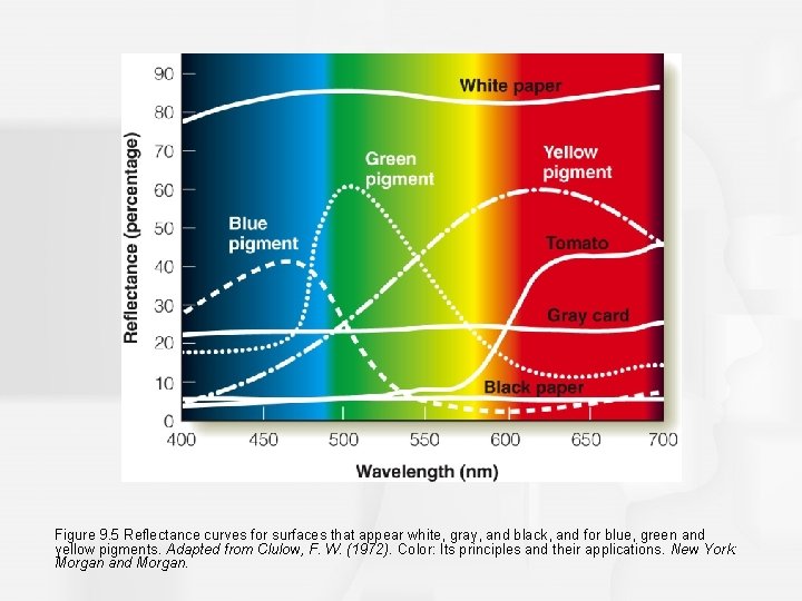 Chapter 9 Color Vision Overview of Questions How