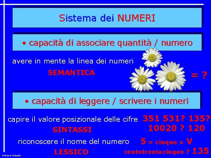 Sistema dei NUMERI • capacità di associare quantità / numero avere in mente la