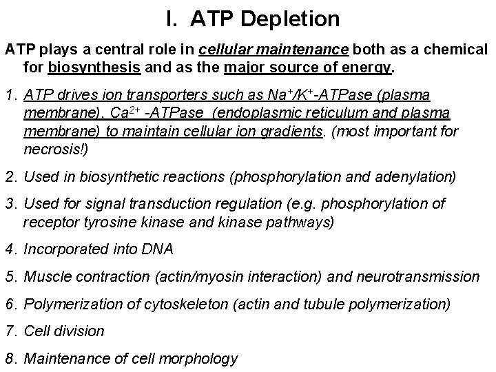 I. ATP Depletion ATP plays a central role in cellular maintenance both as a