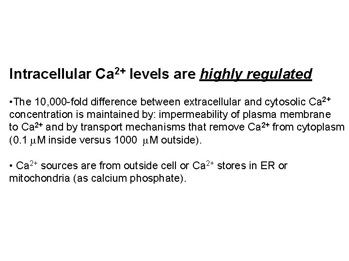 Intracellular Ca 2+ levels are highly regulated • The 10, 000 -fold difference between