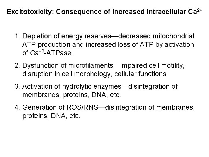 Excitotoxicity: Consequence of Increased Intracellular Ca 2+ 1. Depletion of energy reserves—decreased mitochondrial ATP