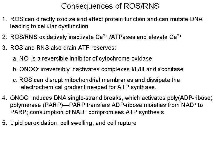 Consequences of ROS/RNS 1. ROS can directly oxidize and affect protein function and can