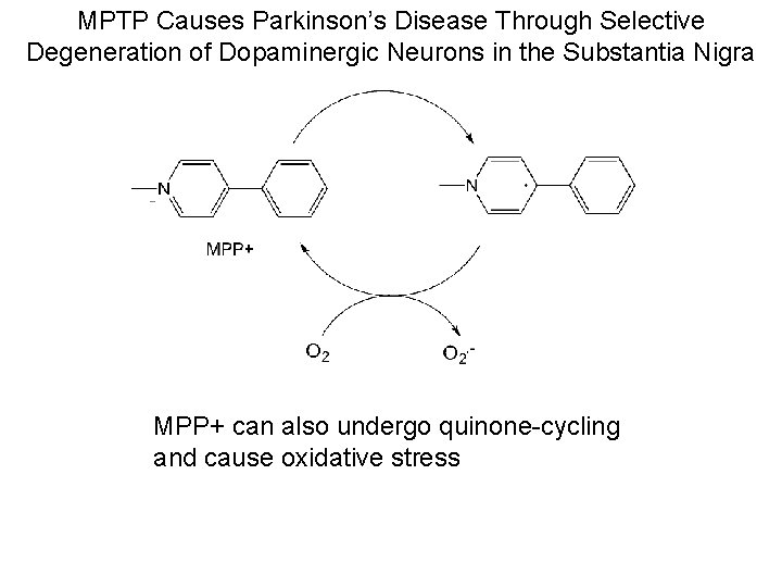 MPTP Causes Parkinson’s Disease Through Selective Degeneration of Dopaminergic Neurons in the Substantia Nigra