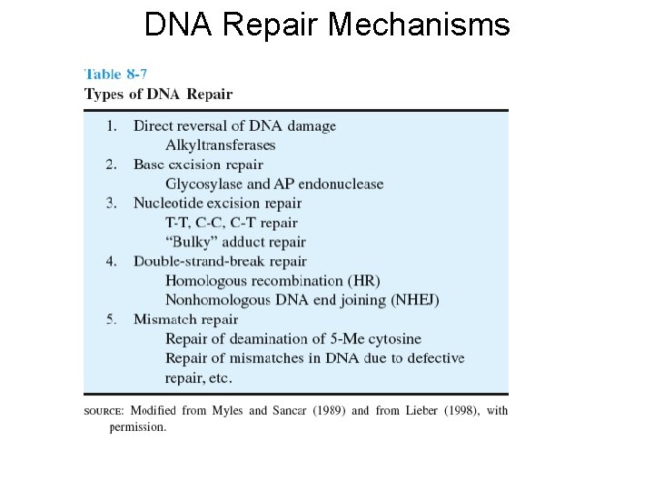 DNA Repair Mechanisms 