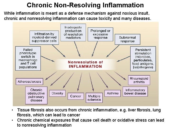 Chronic Non-Resolving Inflammation While inflammation is meant as a defense mechanism against noxious insult,