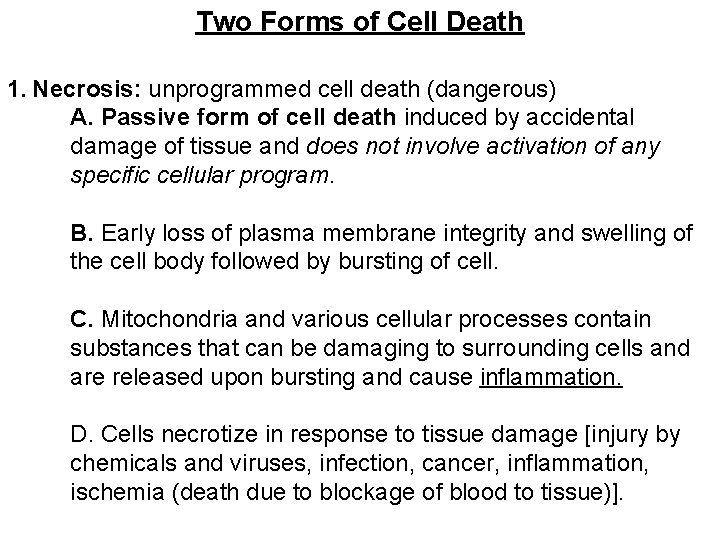 Two Forms of Cell Death 1. Necrosis: unprogrammed cell death (dangerous) A. Passive form