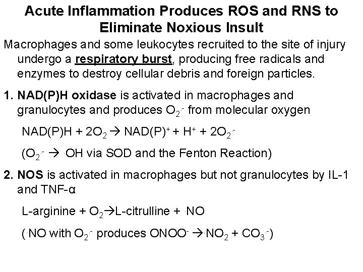 Acute Inflammation Produces ROS and RNS to Eliminate Noxious Insult Macrophages and some leukocytes