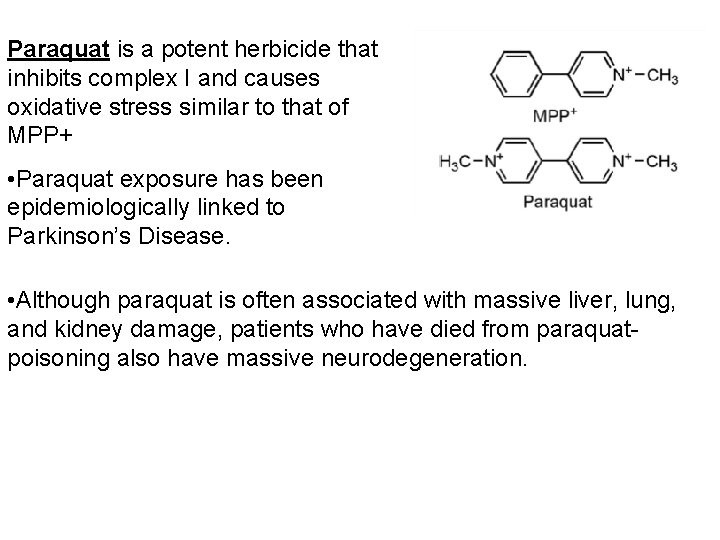 Paraquat is a potent herbicide that inhibits complex I and causes oxidative stress similar