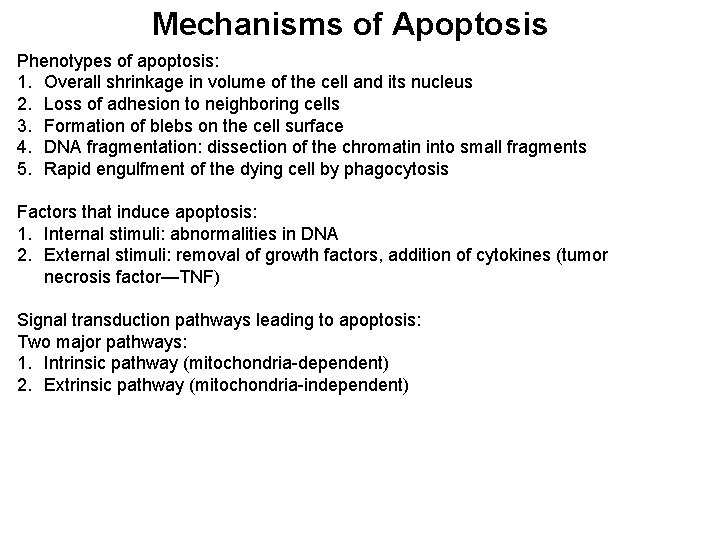 Mechanisms of Apoptosis Phenotypes of apoptosis: 1. Overall shrinkage in volume of the cell