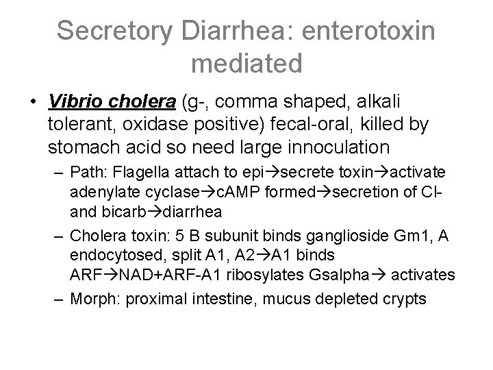 Secretory Diarrhea: enterotoxin mediated • Vibrio cholera (g-, comma shaped, alkali tolerant, oxidase positive)