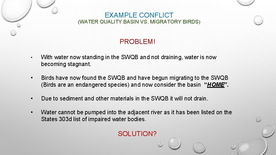 EXAMPLE CONFLICT (WATER QUALITY BASIN VS. MIGRATORY BIRDS) PROBLEM! • With water now standing