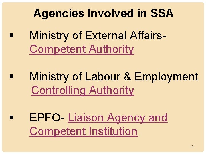 Agencies Involved in SSA § Ministry of External Affairs. Competent Authority § Ministry of