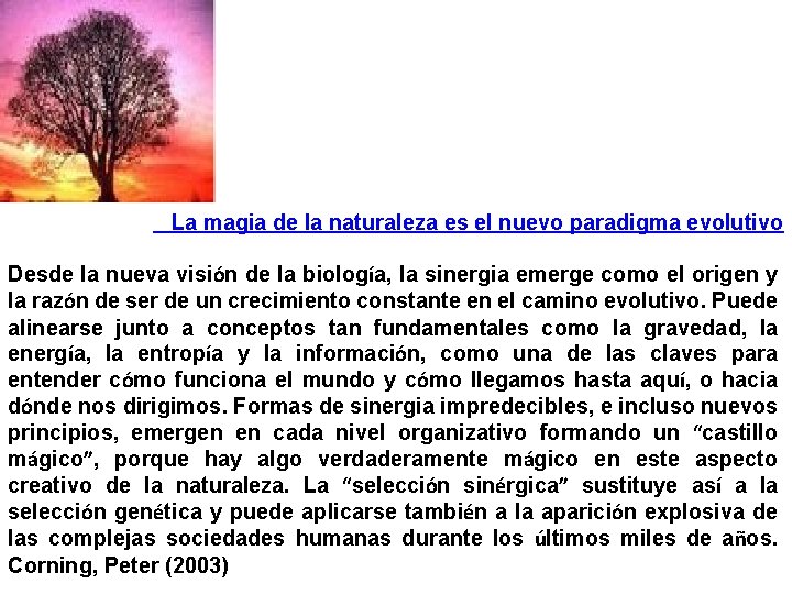 La magia de la naturaleza es el nuevo paradigma evolutivo Desde la nueva visión