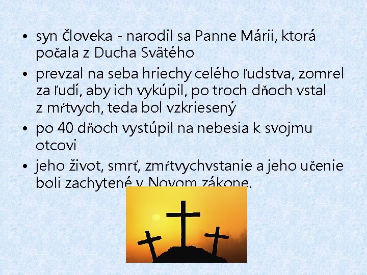  • syn Človeka - narodil sa Panne Márii, ktorá počala z Ducha Svätého