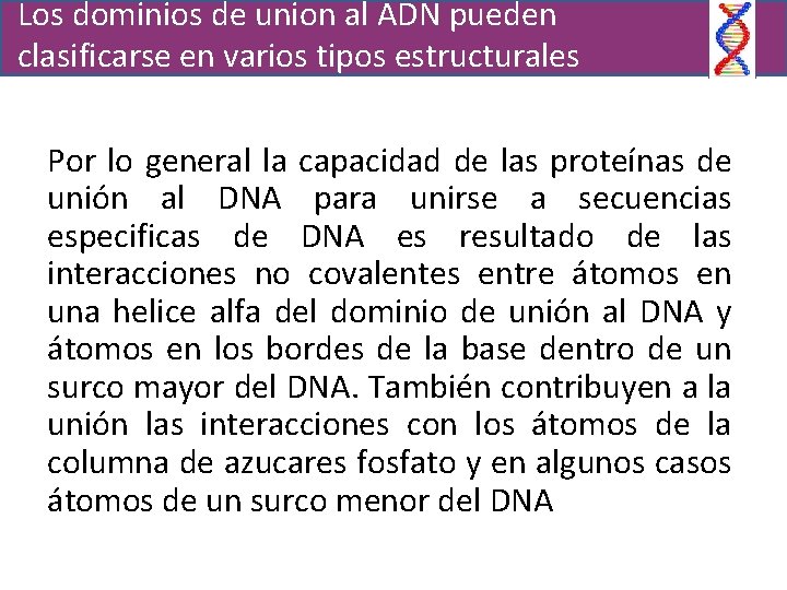 Los dominios de union al ADN pueden clasificarse en varios tipos estructurales Por lo