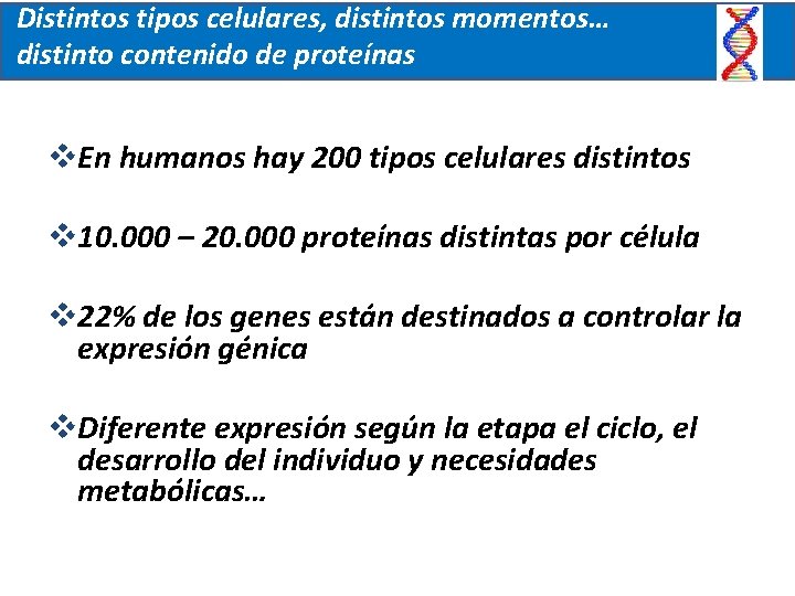 Distintos tipos celulares, distintos momentos… distinto contenido de proteínas v. En humanos hay 200