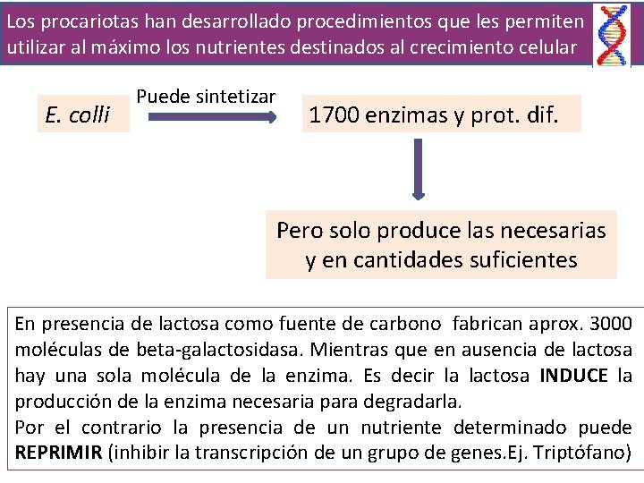 Los procariotas han desarrollado procedimientos que les permiten utilizar al máximo los nutrientes destinados