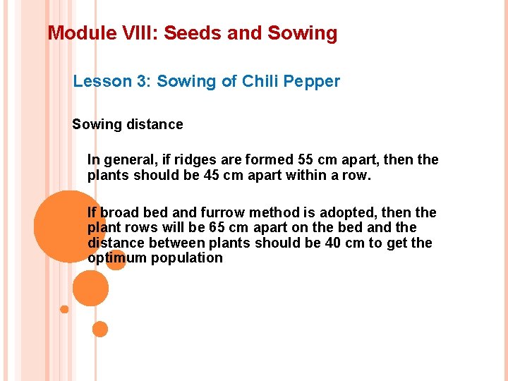 Module VIII: Seeds and Sowing Lesson 3: Sowing of Chili Pepper Sowing distance In