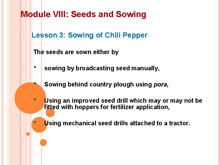 Module VIII: Seeds and Sowing Lesson 3: Sowing of Chili Pepper The seeds are