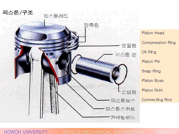 Piston Head Compression Ring Oil Ring Piston Pin Snap Ring Piston Boss Piston Skirt