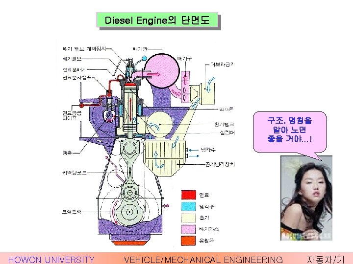  Diesel Engine의 단면도 구조, 명칭을 알아 노면 좋을 거야…! HOWON UNIVERSITY VEHICLE/MECHANICAL ENGINEERING