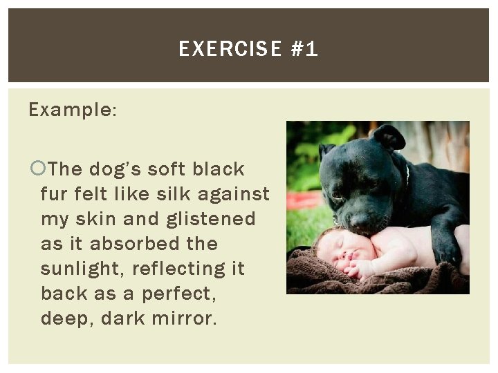 EXERCISE #1 Example: The dog’s soft black fur felt like silk against my skin