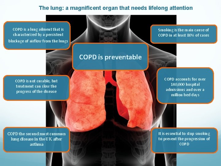 The lung: a magnificent organ that needs lifelong attention COPD is a lung ailment