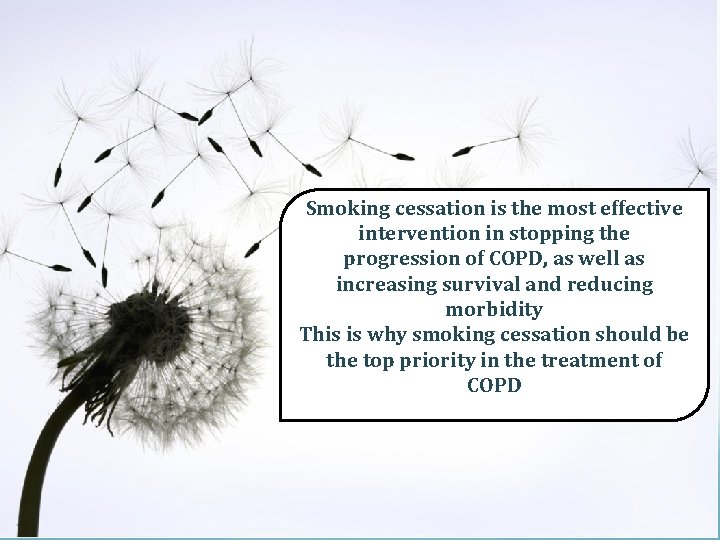 Smoking cessation is the most effective intervention in stopping the progression of COPD, as