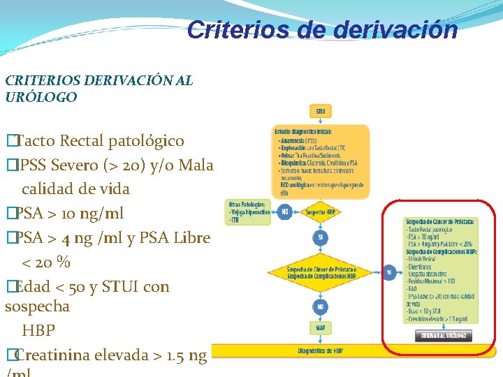 Criterios de derivación CRITERIOS DERIVACIÓN AL URÓLOGO � Tacto Rectal patológico � IPSS Severo Criterios de derivación CRITERIOS DERIVACIÓN AL URÓLOGO � Tacto Rectal patológico � IPSS Severo