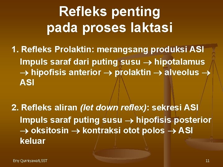 Refleks penting pada proses laktasi 1. Refleks Prolaktin: merangsang produksi ASI Impuls saraf dari