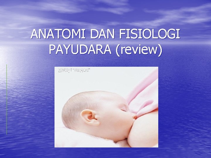 ANATOMI DAN FISIOLOGI PAYUDARA (review) 
