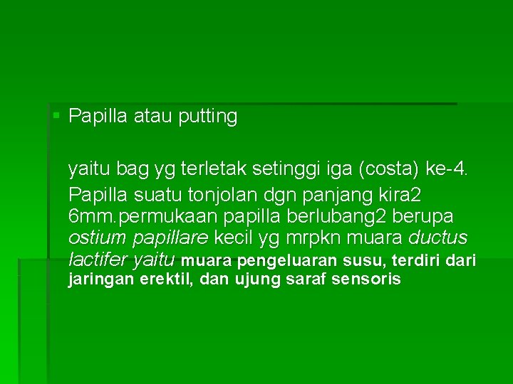 § Papilla atau putting yaitu bag yg terletak setinggi iga (costa) ke-4. Papilla suatu